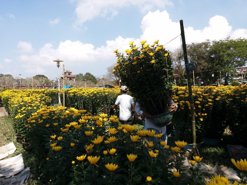 Không khí ở chợ hoa Tết mang đến không khí Tết tràn ngập khắp các con đường. Ảnh: Tuấn Hiệp.