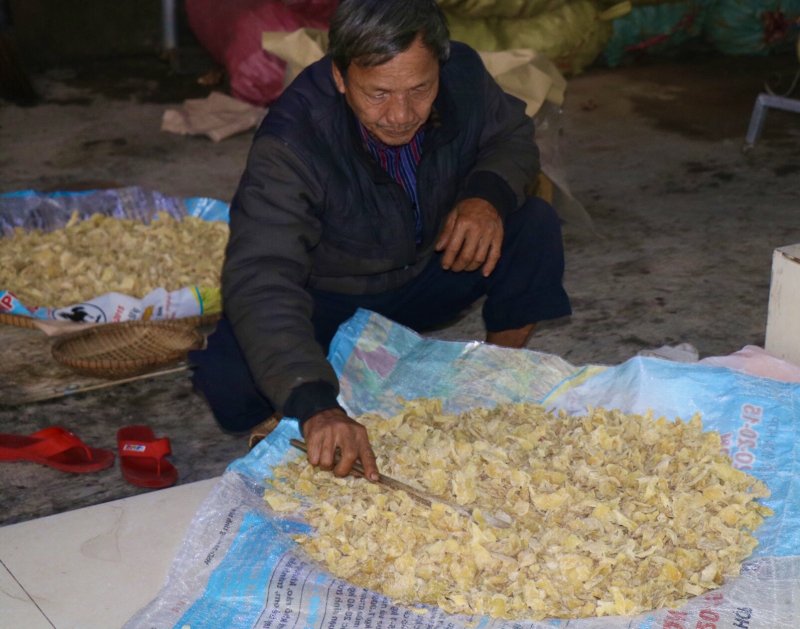 Đó là lí do trước đây ở Kim Long có gần 30 hộ dân làm mứt gừng thủ công, giờ chỉ còn vài hộ dân.