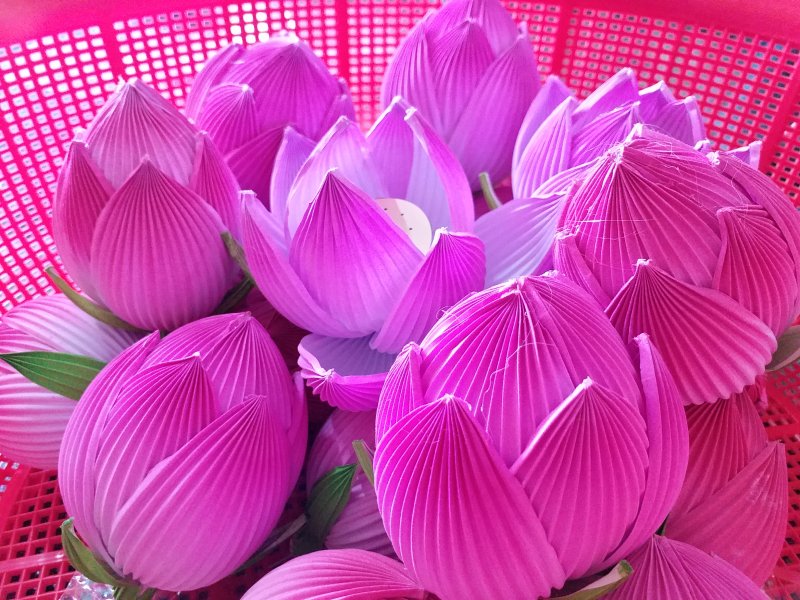 Đặc biệt, 13 năm về trước, ông Huy đã khôi phục hoa sen giấy bị thất truyền hơn 60 năm, truyền nghề cho người dân. Từ đó, thu hút nhiều khách hàng.
