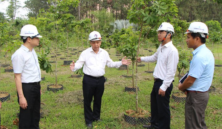 Ông Thọ tham quan vườn ươm mai của HueWACO.