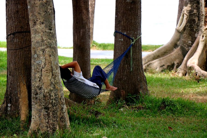 Một số người mắc võng nằm hóng mát, nghỉ ngơi.