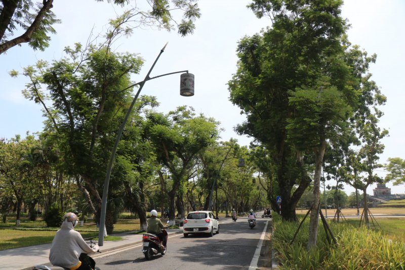 Dưới cái nắng như thiêu như đốt, nhiều người dân di chuyển dưới tán cây xanh mát.