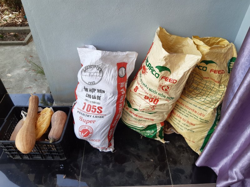 Chị Hoàng Thị Quỳnh Dao (29 tuổi, ở xã Quảng Phú, huyện Quảng Điền), Đại diện nhóm, chia sẻ: “Hiện nay, cuộc sống của nhiều người dân ở TP. HCM và Đồng Nai đang gặp khó khăn do ảnh hưởng của dịch bệnh. Với tinh thần tương thân tương ái, đồng thời, tri ân tình cảm mà người dân miền Nam dành cho bà con miền Trung trong các đợt lũ lụt, nhóm đã phát động chương trình tặng rau củ quả cho bà con miền Nam...”.