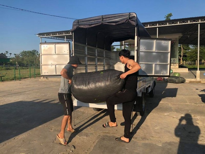 Bà con ở xã Quảng Thọ, huyện Quảng Điền tặng đặc sản rau má của vùng quê mình cho bà con TP. HCM và Đồng Nai.