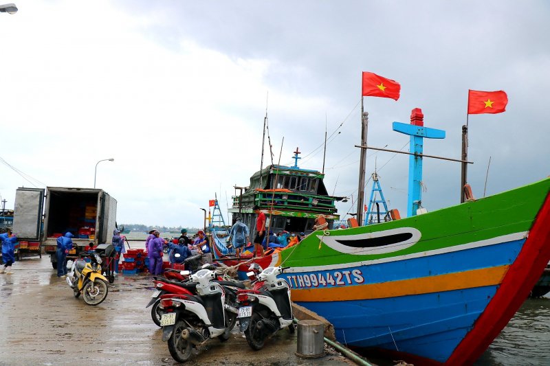Khẩn trương neo đậu tàu thuyền để tránh bão để đảm bảo an toàn cho ngư cụ, tàu cá.