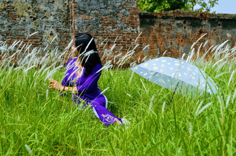 Sự xuất hiện của hoa loài cây này đã làm cho không khí ở chốn chân thành trở nên rộn ràng, sôi động hơn.