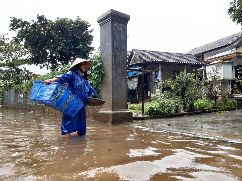 Bì bõm trong nước. Ảnh: Tuấn Hiệp.