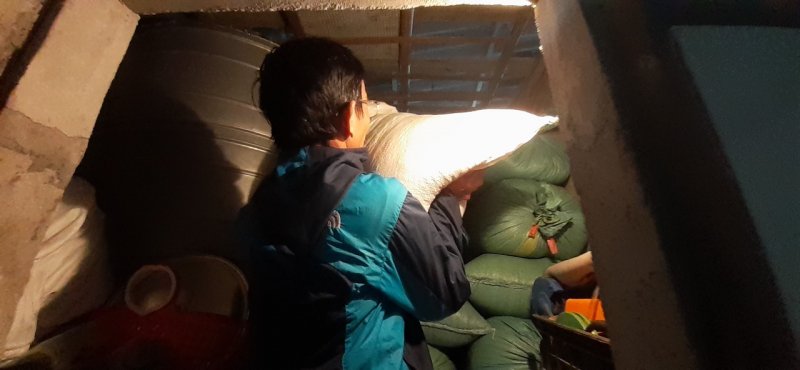 Người dân chất lúa gạo lên khu vực cao đề phòng nước dâng lên. Ảnh: Tuấn Hiệp.