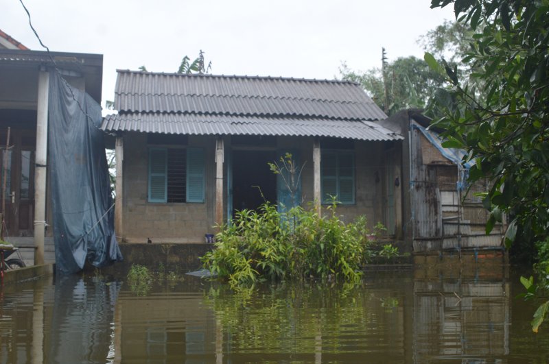 Theo anh Phạm Văn Hà - Trưởng thôn Xuân Tùy, đây là vùng quê thấp trũng, nằm ở ven đê Nghĩa Lộ - Nam Phù. Hằng năm, lũ từ thượng nguồn đổ về khiến làng bị ảnh hưởng rất lớn. Mưa lũ đã làm cho bà con gặp khó khăn trong việc đi lại cũng như sinh hoạt.