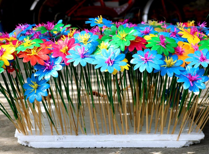 Hoa giấy Thanh Tiên.