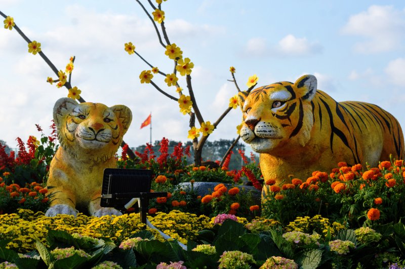 Hai mẹ con hổ
