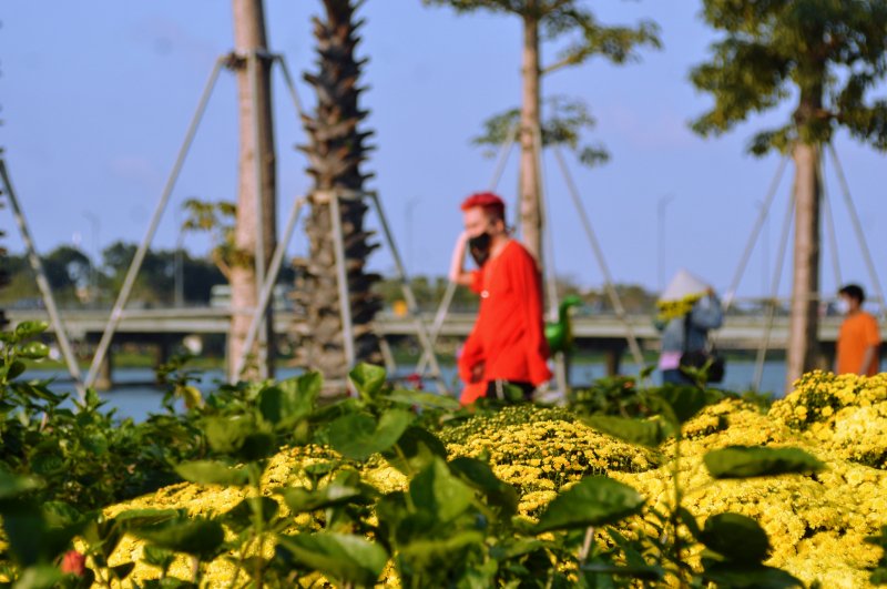 Trăm hoa khoe sắc