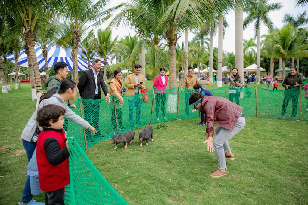Bịt mắt bắt lợn, một trò chơi thương xuất hiện tại các hội làng nay được tái hiện đầy sống động.