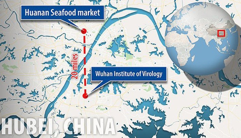 Viện nghiên cứu Virus tại Vũ Hán nằm cách chợ Hoa Nam khoảng 32 cây số. (Ảnh: HUBEI CHINA).