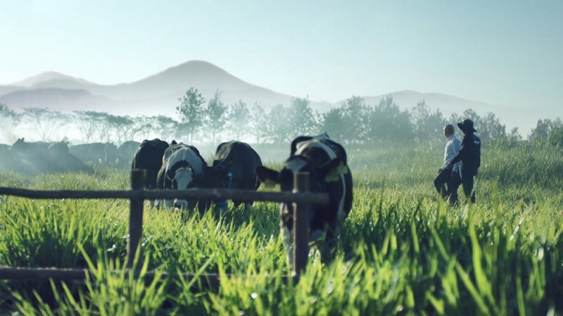 Thương hiệu Dalatmilk là di sản từ cao nguyên và được kết hợp với công nghệ hiện đại cùng tiêu chuẩn quốc tế.