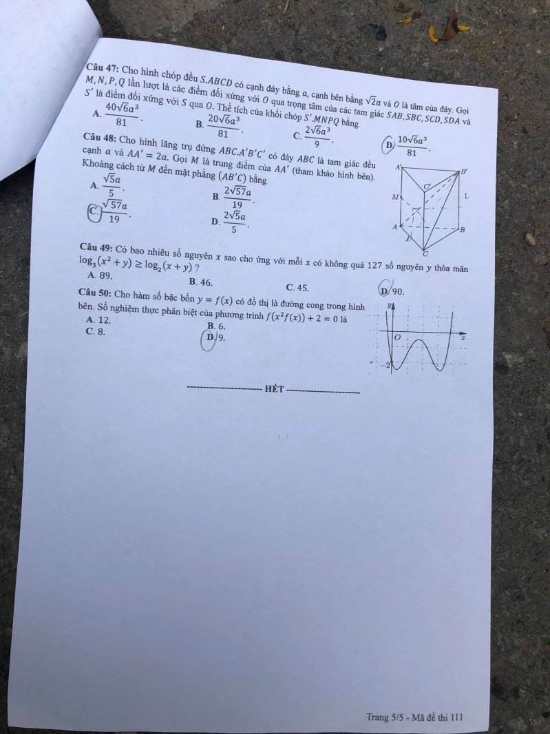 111 (5)