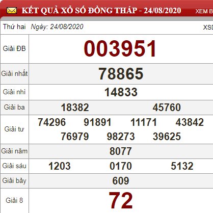 dt 24.8