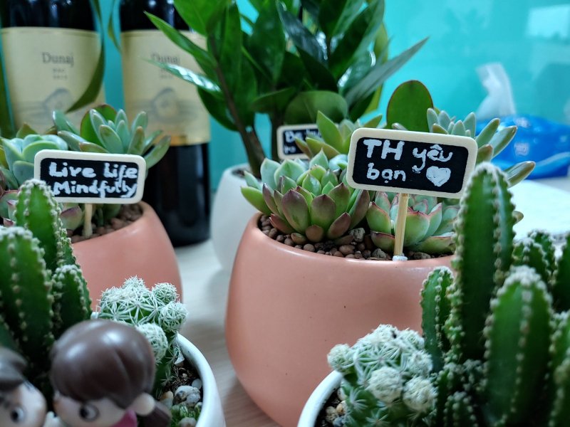 Ngoài phúc lợi của ngày Quốc tế Hạnh phúc, CBNV của TH được tổ chức những bữa tiệc vui vẻ, được tặng những món quà giản dị với thông điệp hướng tới hạnh phúc ý nghĩa từ công ty