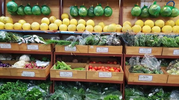  Khóa tập huấn đã cung cấp các kiến thức và kỹ năng cơ bản về truyền thông, quảng bá cho sản phẩm sạch.