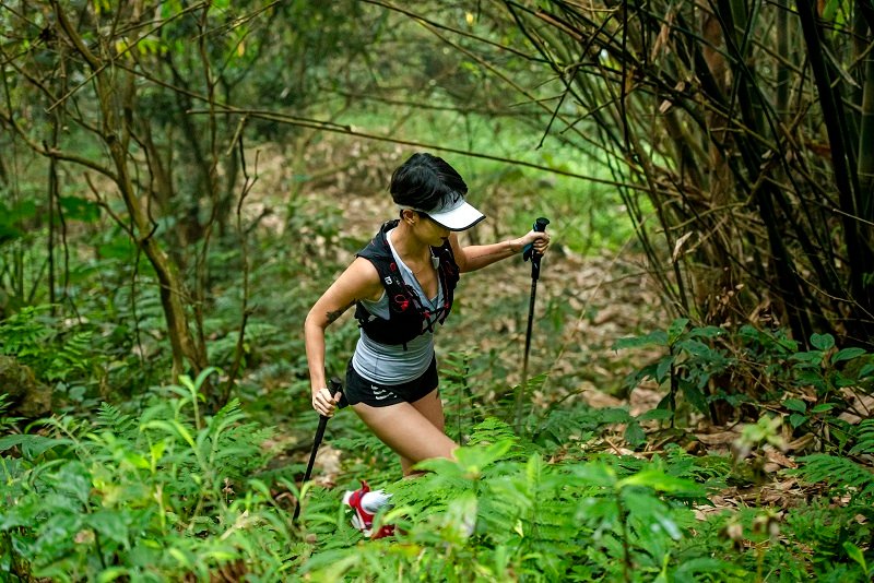 Go Trekking