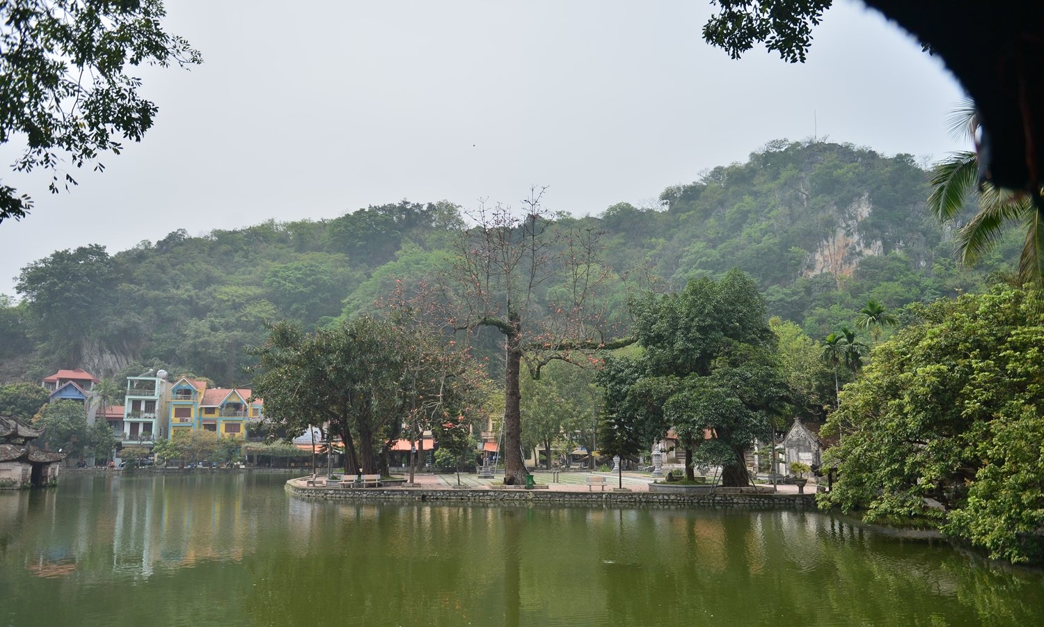 Thời gian cũng trôi qua và những bông hoa gạo cũng rụng xuống theo thời gian.