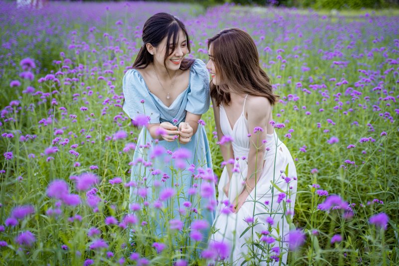 Nhiều người ví rằng cánh đồng hoa lãng mạn, ngập tràn màu tím mộng mơ này không khác gì với khung cảnh ở Pháp nằm ngay trung tâm Hà Nội. Cánh đồng hoa oải hương thảo tím lịm mang lại cảm giác yên bình, như lạc giữa thảo nguyên đầy hoa khác xa với khói bụi thành phố.