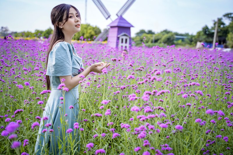 Bạn Nguyễn Huyền Trang (Sinh viên trường ĐH Hà Nội) - Du khách đến chụp ảnh chia sẻ: 'Bình thường mình chỉ được nhìn thấy trên mạng hoặc trong một số shop hoa mà chưa nhìn thấy hoa này ngoài đời. Khi được đến đây mình thấy một cánh đồng hoa tím rất thơ mộng, bước vào mà cảm nhận như đang giữa một khu vườn cổ tích vậy'.
