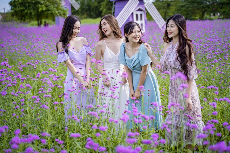 Ông Nguyễn Trung Tình, quản lý và là người chăm sóc trực tiếp vườn hoa cho biết: 'Giống hoa này được nhập hoàn toàn, do khí hậu nước ta không phù hợp nên khi trồng phải được chăm sóc rất kỹ, tuân theo kỹ thuật nghiêm ngặt. Từ khi ươm hạt tới khi hoa nở rộ mất khoảng 5 tháng kéo dài đến 2,3 tháng sau mới tàn. Hoa thường ưa nhiệt độ lạnh tuy nhiên với sự thuần chủng và lai tạo gần đây của các kỹ sư đã cho hoa nở được vào mùa cuối hè đầu thu của Hà Nội'.
