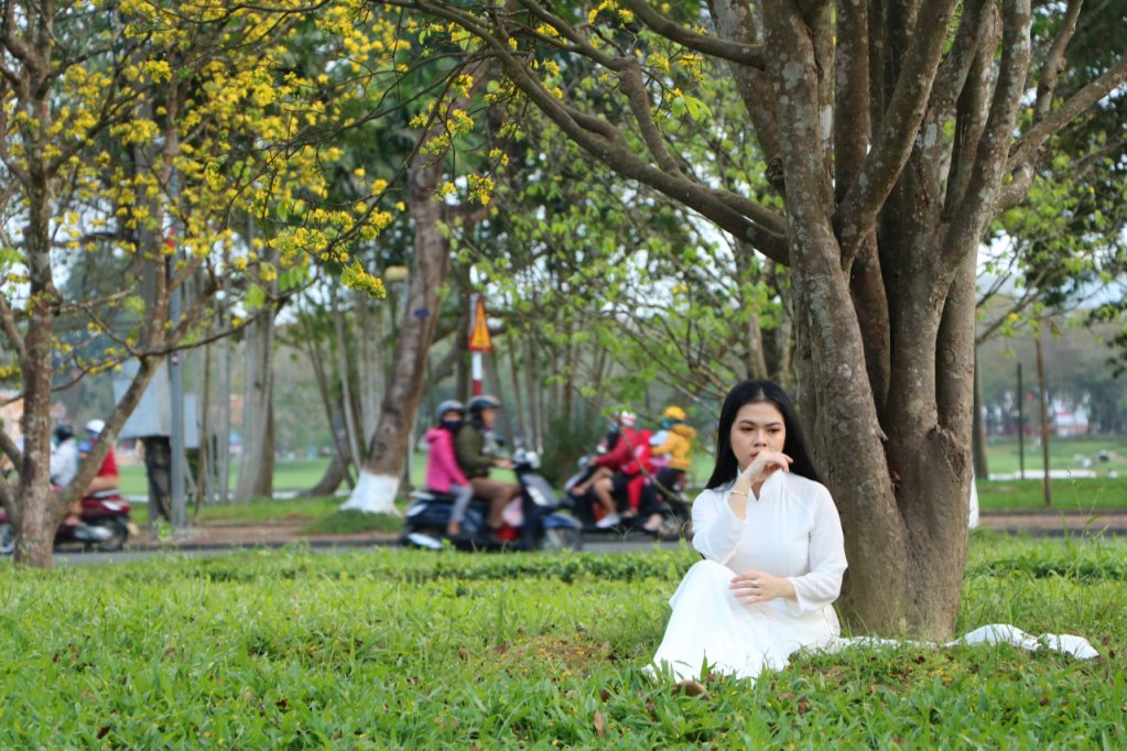 Nhiều bạn trẻ trong bộ áo dài truyền thống chụp ảnh cùng hoa mai.
