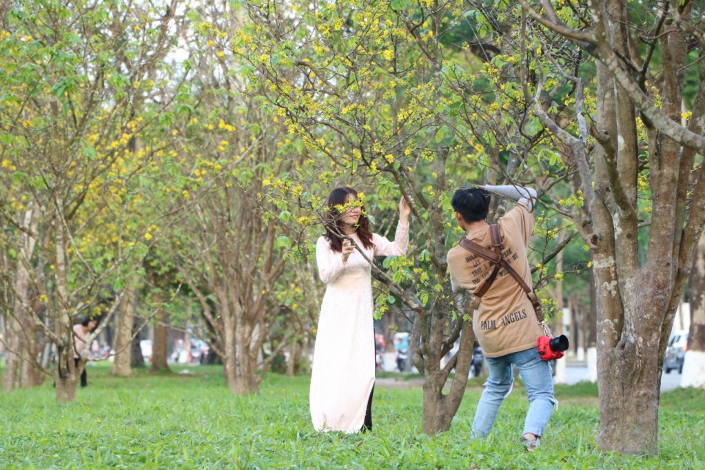 Khoe sắc cùng hoa mái bung nở rực rỡ.