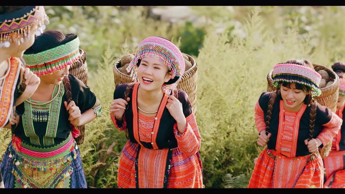 Sâm Fansipang hay còn gọi là Sâm Tuyết, Sâm Đất hoặc Hoàng Sinco được nuôi trồng tại các xã vùng cao biên giới huyện Bát Xát tỉnh Lào Cai.