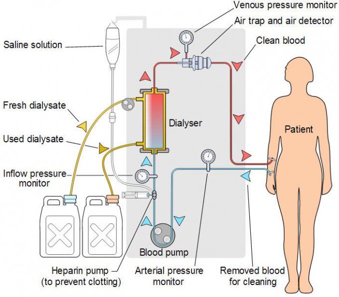 Cơ chế hoạt động của ECMO.