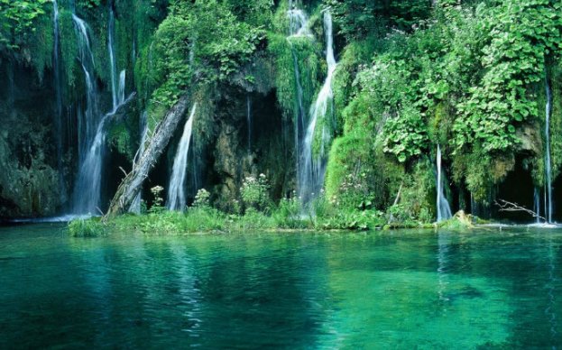 Rừng nguyên sinh tuyệt đẹp ở Phú Quốc.