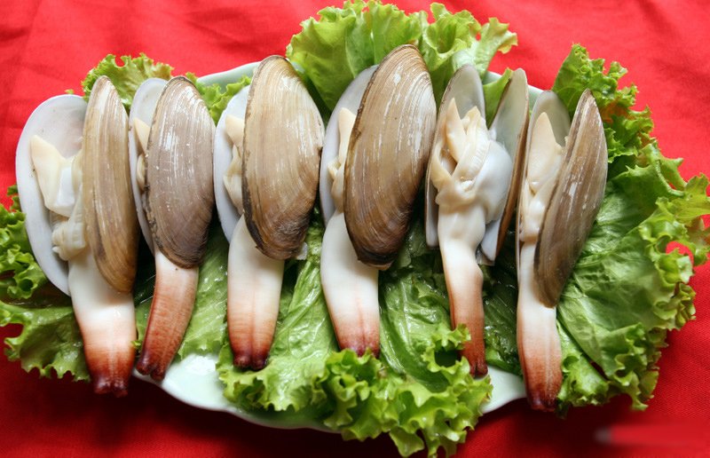 Tu hài Cát Bà nổi tiếng ngon.