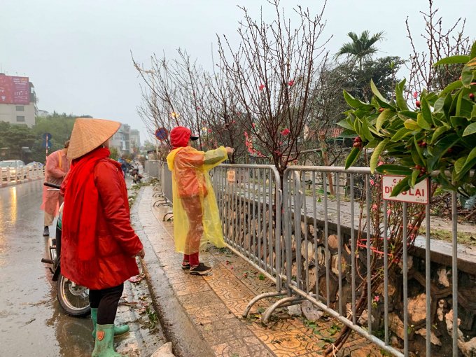 Dù Tết Nguyên Đán đã qua nhưng các điểm bán đào và lê rừng vẫn thu hút khá đông người mua. Từ mùng 8 tháng Giêng, dọc đê chợ Quảng An (Tây Hồ, Hà Nội), đào được bày bán nhiều chờ khách tới xem.