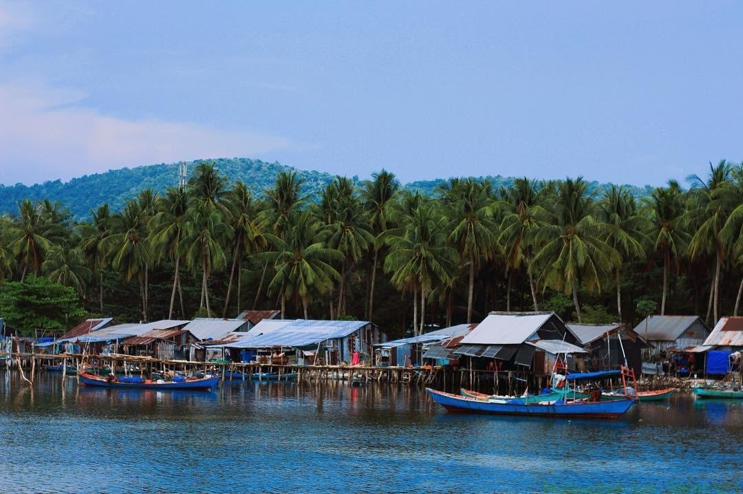 Phú Quốc may mắn sở hữu hệ thống rừng nguyên sinh với đa dạng các loài động, thực vật.