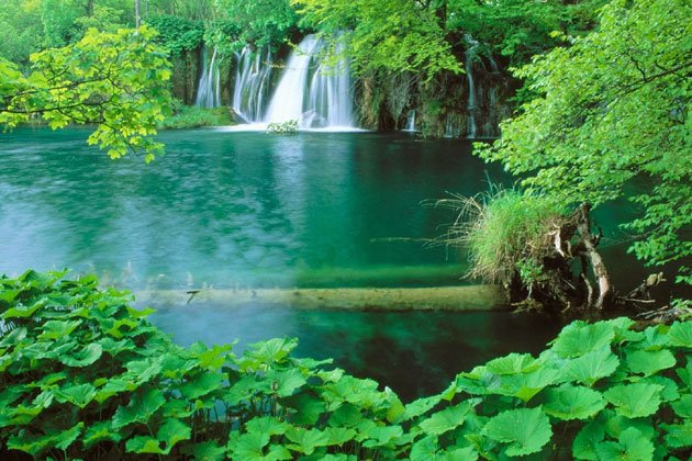 Du khách có cơ hội khám phá điều hấp dẫn ở các làng chài cổ ở Phú Quốc.