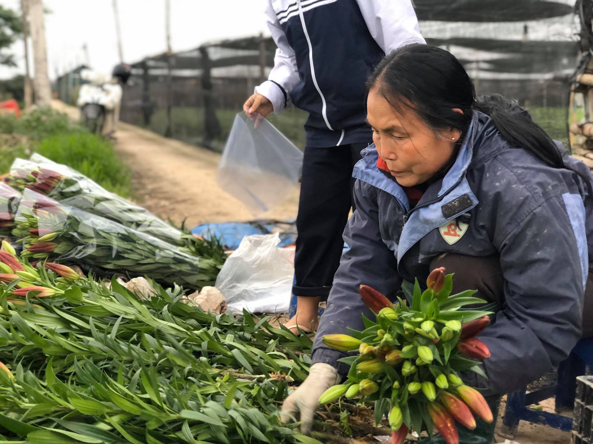 “Do ảnh hưởng dịch Covid-19 nên nhu cầu sử dụng hoa tươi giảm hẳn, nhiều gia đình cắt hẳn khoản mua hoa vì có nhiều khoản lo khác. Ngày thường giờ cũng không ai mua hoa nữa, tranh thủ ngày rằm bán được ít nào hay ít đó.