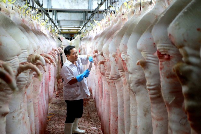 Giá thịt lợn chưa giảm tương xứng với giá heo hơi.