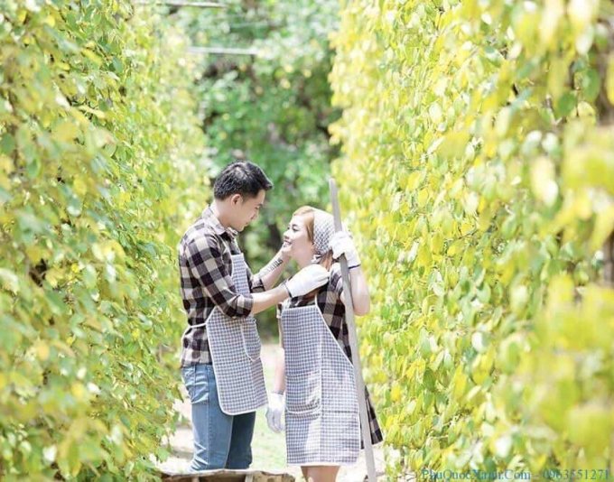 Giá tiêu hôm nay ngày 4/3/2020, bất ngờ tăng 500 đồng/kg.