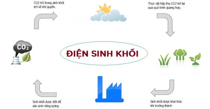 Quy trình sản xuất điện sinh khối.