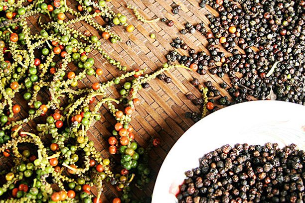 Hồ tiêu Việt Nam chủ yếu vẫn xuất thô, luôn cạnh tranh bằng giá ở phân khúc thấp.