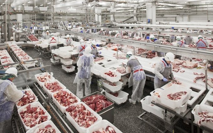 Đẩy mạnh nhập khẩu thịt lợn không giúp kéo giá thịt heo trong nước.