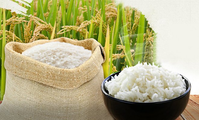Giá gạo trong nước hôm nay 7/5