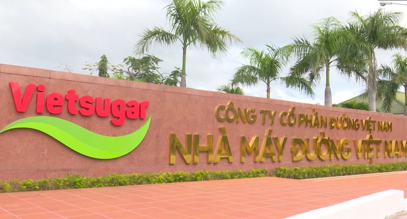 Sự “thay da đổi thịt” của Vietsugar và chiến lược hoàn thiện chuỗi giá trị cung ứng của Vinamilk.