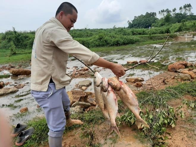 Sau khi nước rút, người dân mang thuyền, lưới xuống lòng đập để bắt cá.