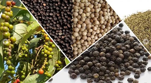Giá tiêu hôm nay 5/7/2020, chốt phiên giao dịch cuối tuần, giá tiêu tại Tây Nguyên và miền Nam ghi nhận tại Đồng Nai giá tăng 500 đồng/kg