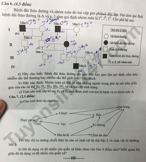 Đề thi môn Sinh chuyên vào lớp 10 tỉnh Phú Yên năm 2020