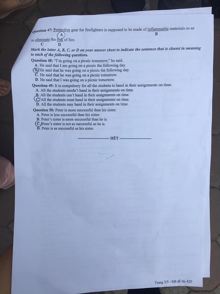 4205