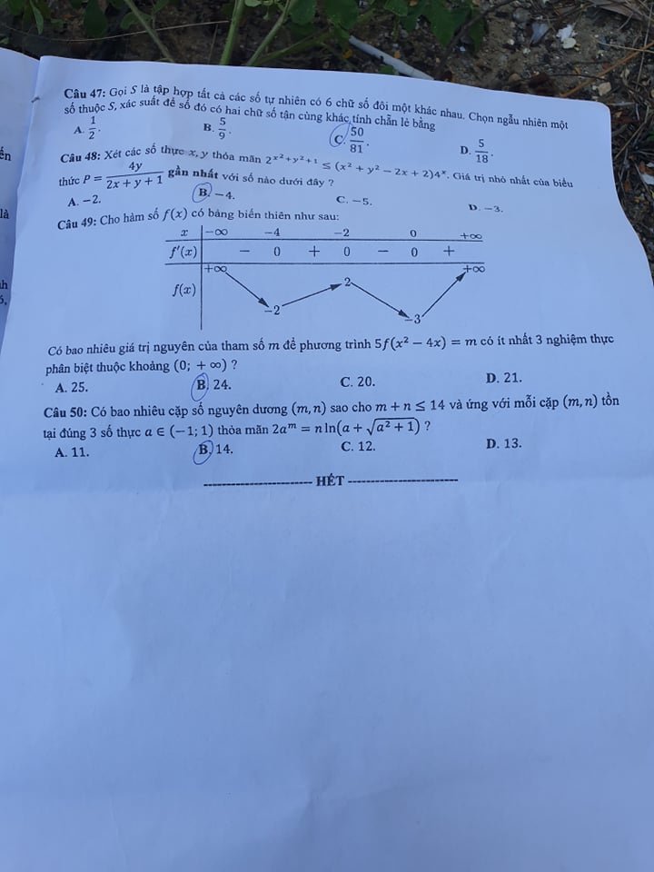 118596261_357604438964436_1391039167500078663_n